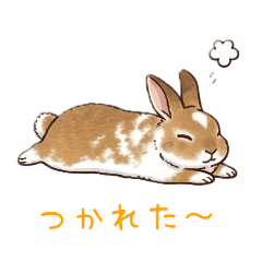うさぎのつぶら日常スタンプ