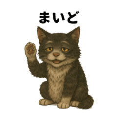 大阪おじいちゃん猫2