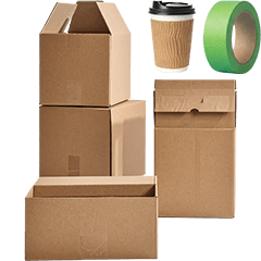 ダンボール　実写