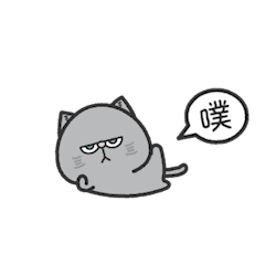 【台湾】まみゃおみゃお