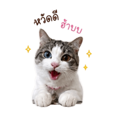 Nursejubu_20260506222831