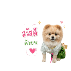 Wan  Wan_20260718162158