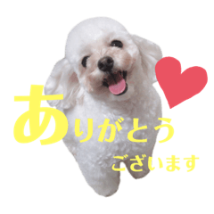 つぼみスタンプvol.2