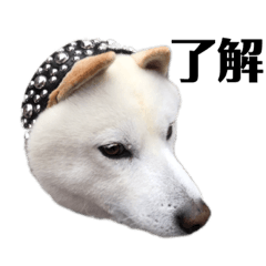 みんないい子 仲良しぺっつ