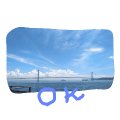 海からのチワワ