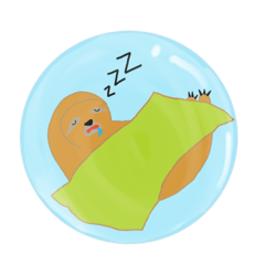 Dolphin_20191003125221