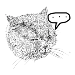 のんびり猫すたんぷ