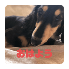 心と言います。その2