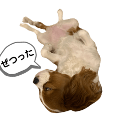 マンチェのスタンプ