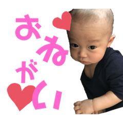 しゃけの子、いくらちゃん