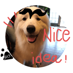 カット琥珀スタンプ