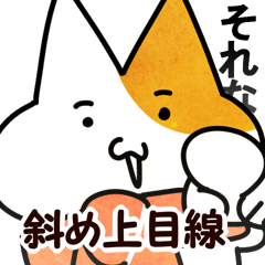 斜め上目線のネコ