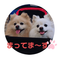 ゆーたとふーたの日常No2