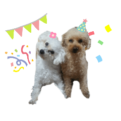 モコとましゅまろ②