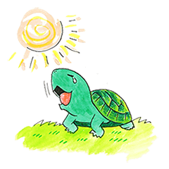 亀のジョンソン