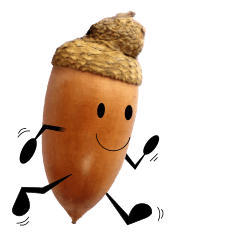 ラン♪ラン♪どんぐりちゃん♪