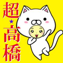 超★高橋なネコ