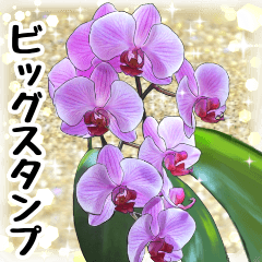 運気上がるキラキラ背景と花の特大スタンプ