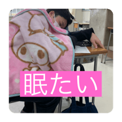 ボクと愉快な仲間たちです