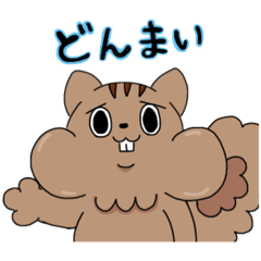 名前はまだない動物たち