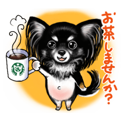 ブラタンチワワ・ポムの日常