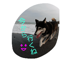 バロンとサリー