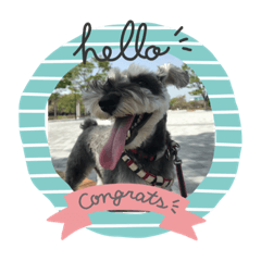 シュナりくスタンプ⭐︎1