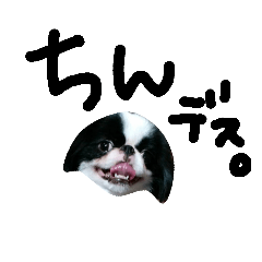 ぼくは 狆の かい です。