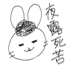 やんきーうさぎ