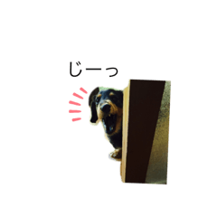 我が家のナナちゃんスタンプ♡