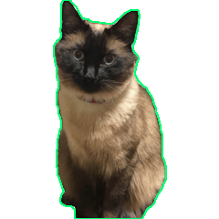 僕の名前はだいちゃん