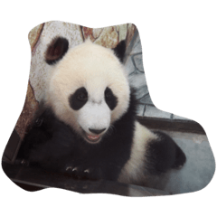 パンダ！！！パンパン！！！