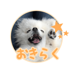 わたあめコロンのおきらくな日々