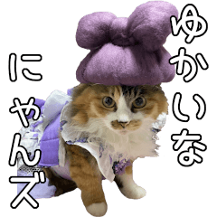 ゆかいなにゃんズ