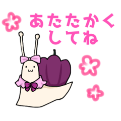 パプリカマイマイ 冬