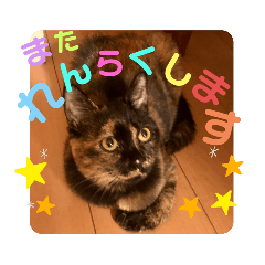 辻川家の花ちゃんキュート編