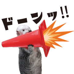 鳥羽水族館　ラッコスタンプ