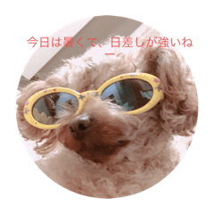 みんなのビタミン 犬シリーズ