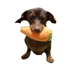 マシャ＆ピーチ