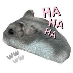 Louise_20221009164618