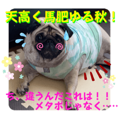 ぐるぐるアニマル【秋っぽいの】