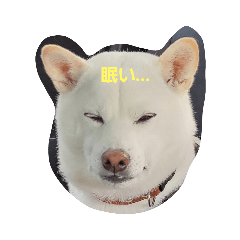 玉村家の次男と兄弟