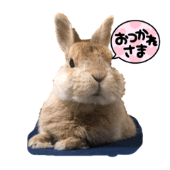 まろさんの独り言②