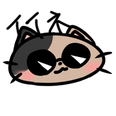 サングラスと猫