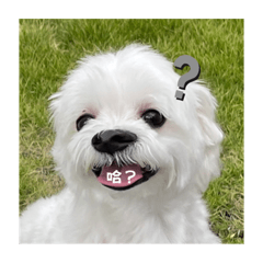 Lizzy_20230305015210