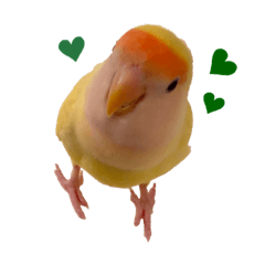 たまごろう♪るーしー3