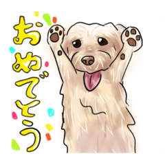 わんちゃんスタンプ（ほぼトイプードル）