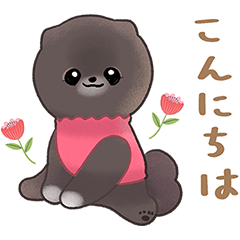 黒ぽめパラダイス