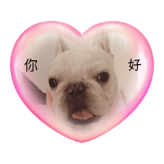 Nikki_20230618031253