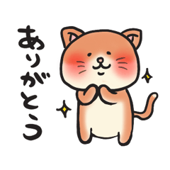 ハチワレにゃんこーず